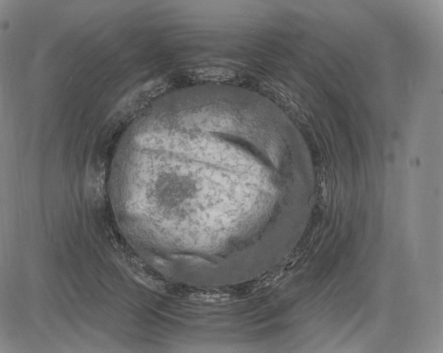 X0000083560745200702231603