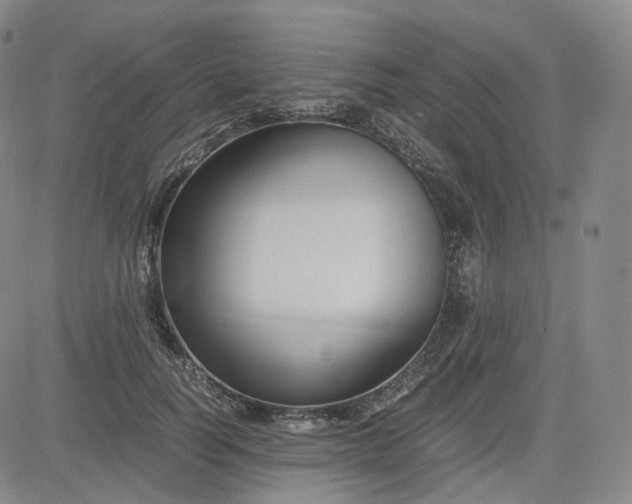 X0000083560746200702231603