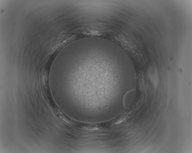 X0000083560747200702231603