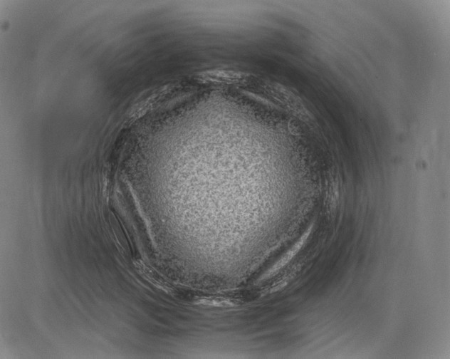 X0000083560749200702231603