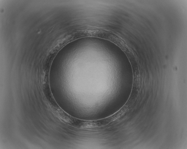 X0000083560750200702231603