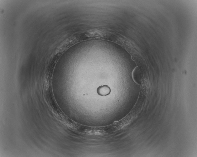 X0000083560751200702231603