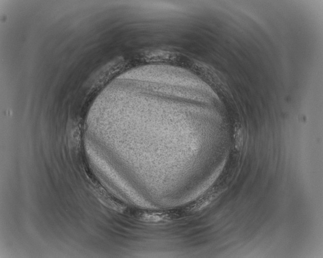 X0000083560753200702231603