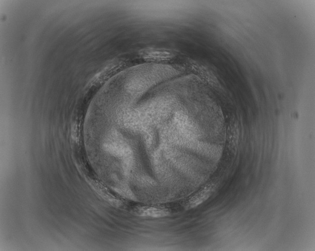 X0000083560755200702231603