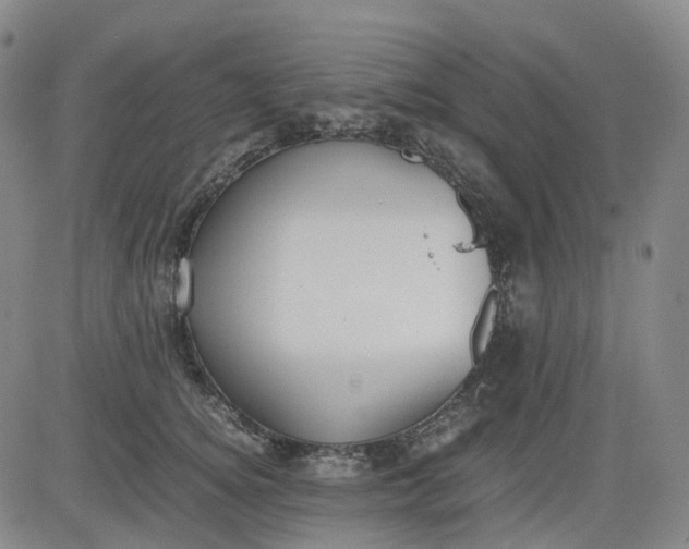 X0000083560756200702231603