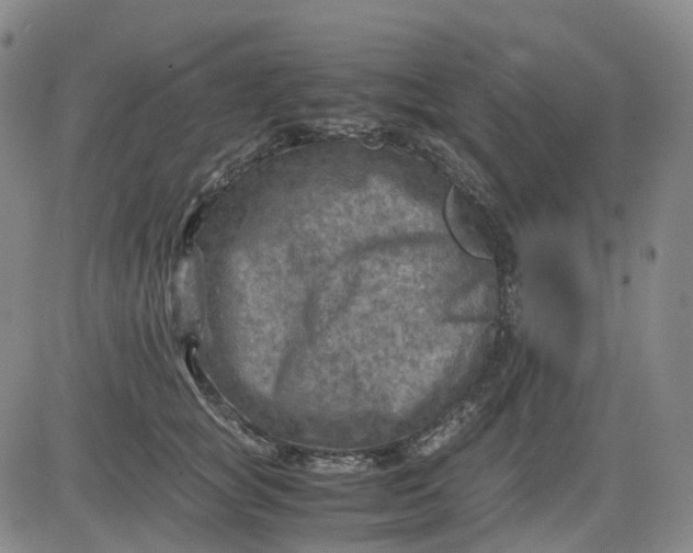 X0000083560757200702231603