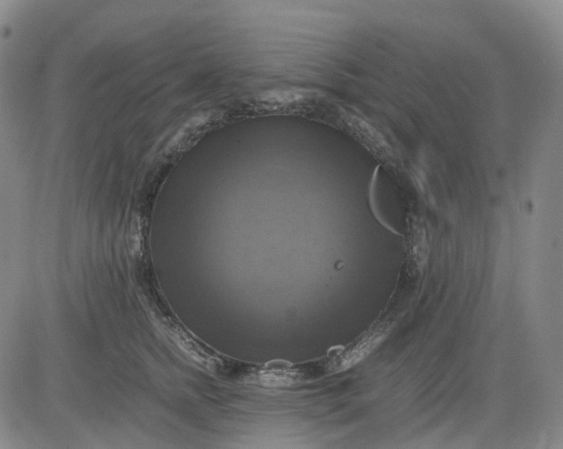 X0000083560758200702231603