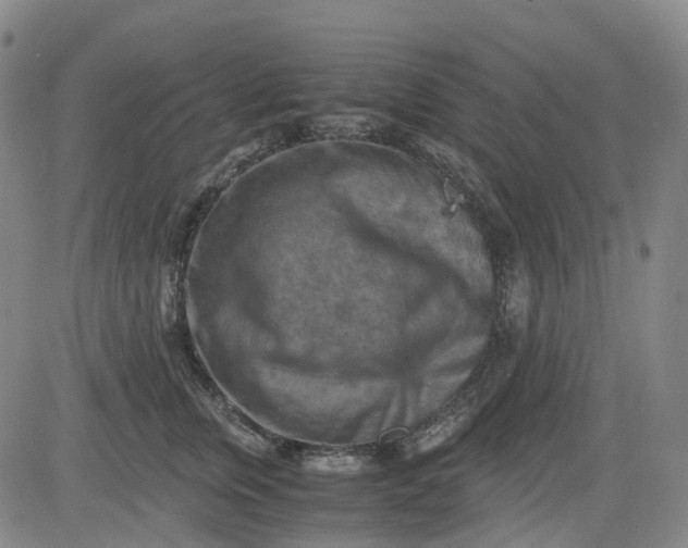 X0000083560759200702231603