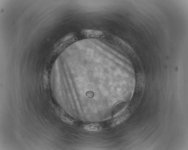 X0000083560761200702231603