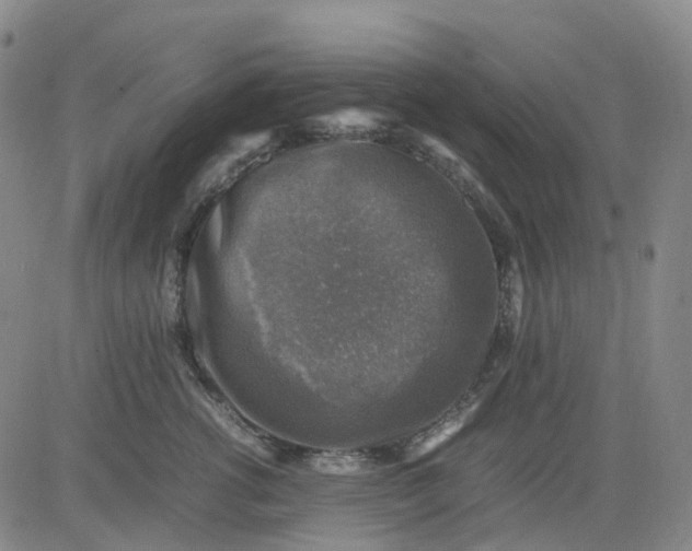 X0000083560762200702231603