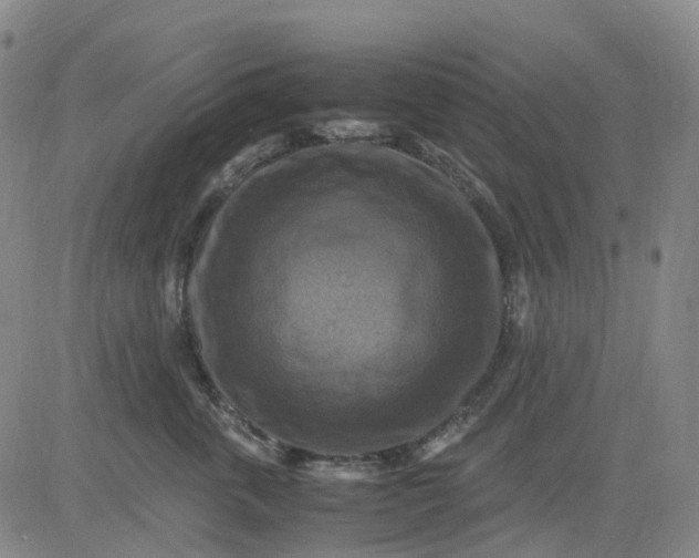 X0000083560763200702231603