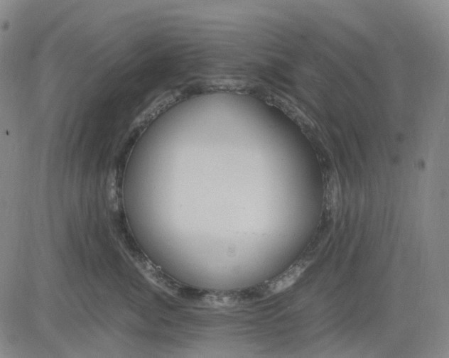 X0000083560764200702231603