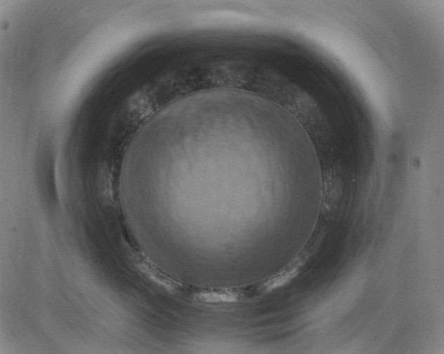 X0000083560765200702231603