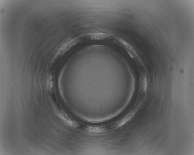 X0000083560766200702231603