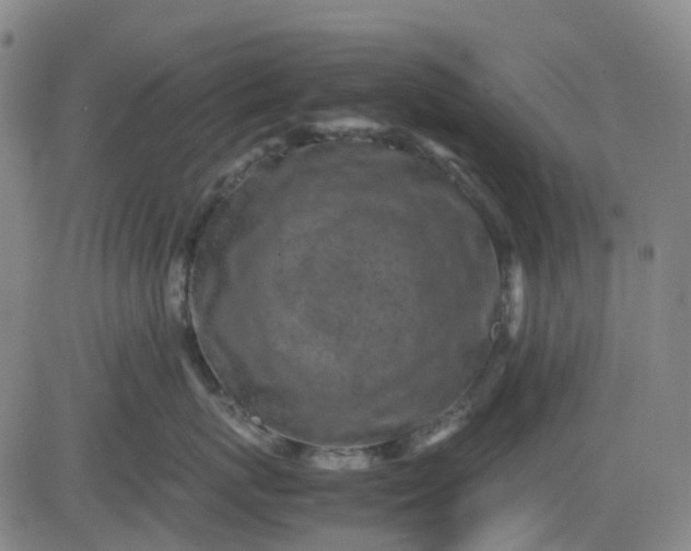 X0000083560767200702231603