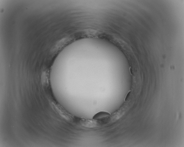 X0000083560768200702231603