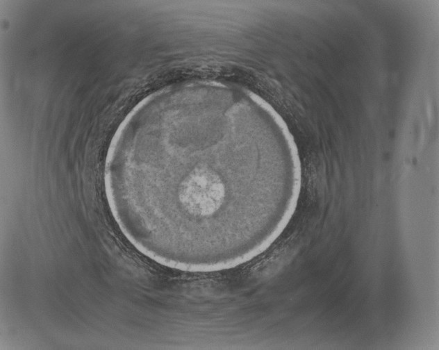 X0000083560769200702231602