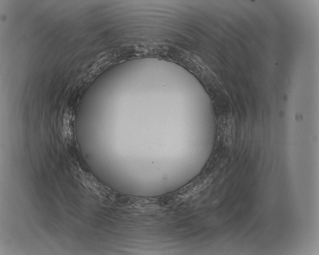 X0000083560770200702231602