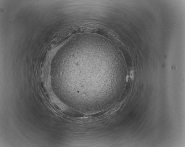 X0000083560771200702231602