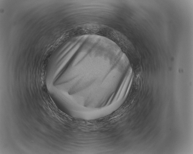 X0000083560772200702231602