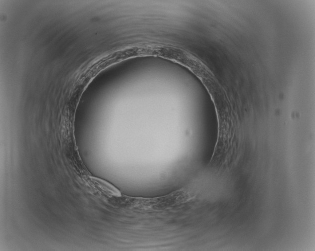 X0000083560773200702231602