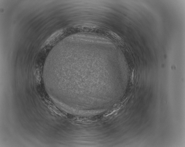 X0000083560774200702231602