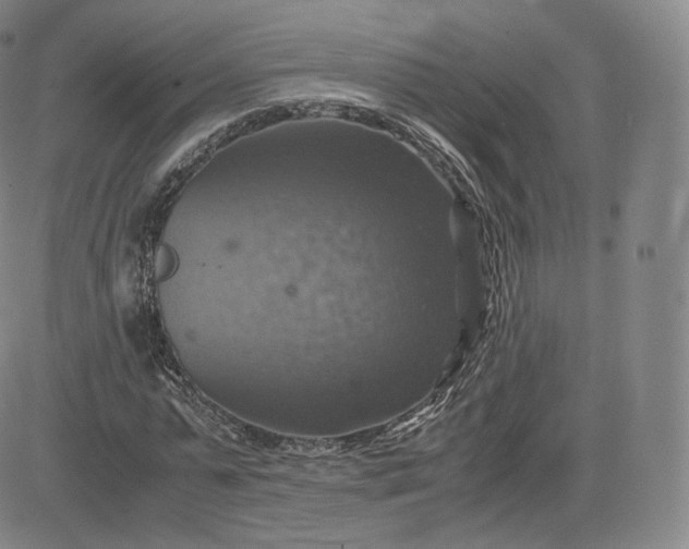 X0000083560775200702231602