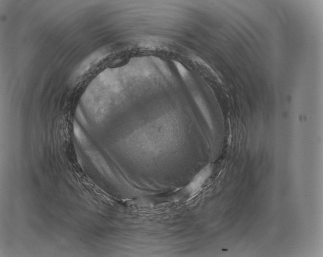 X0000083560776200702231602