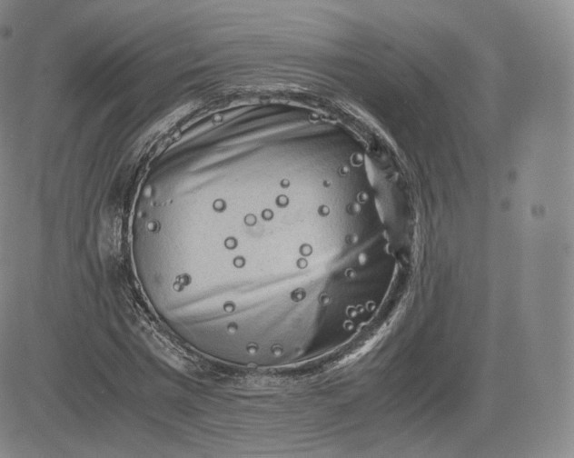 X0000083560777200702231602