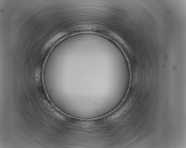 X0000083560778200702231602