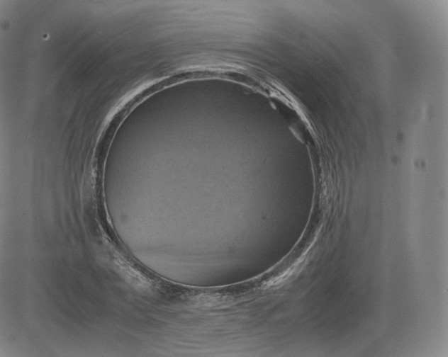 X0000083560779200702231602