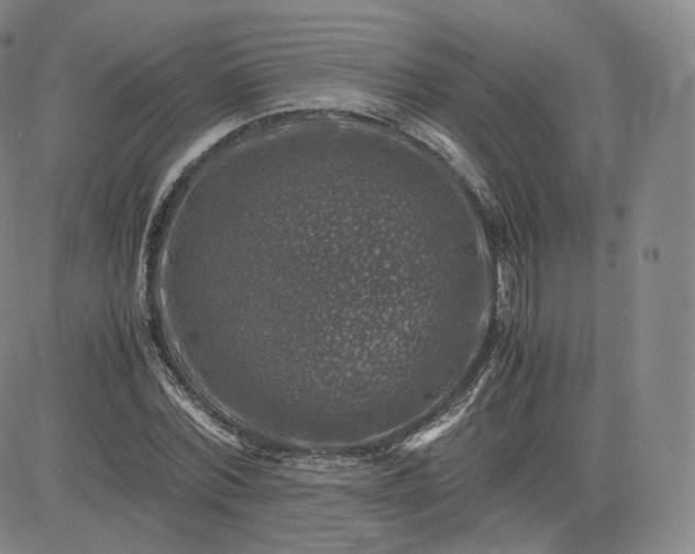 X0000083560780200702231602