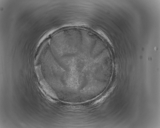 X0000083560781200702231602