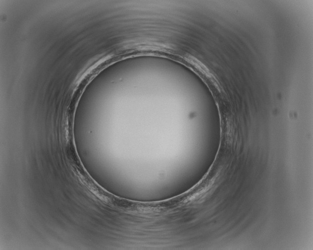 X0000083560782200702231602