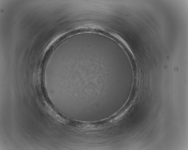 X0000083560783200702231602