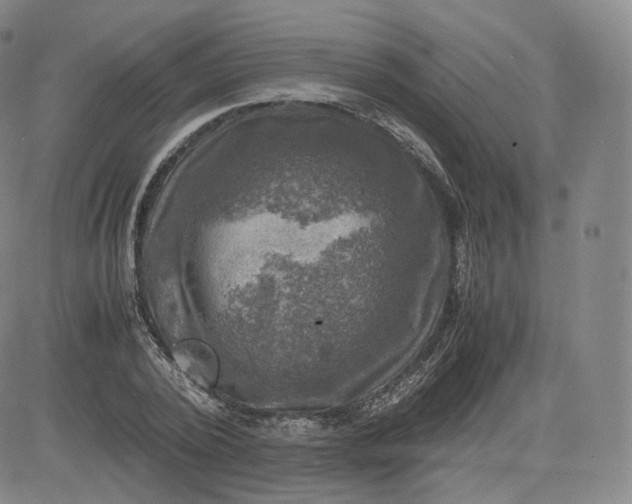 X0000083560784200702231602