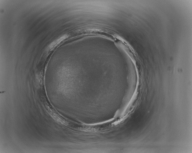 X0000083560785200702231602