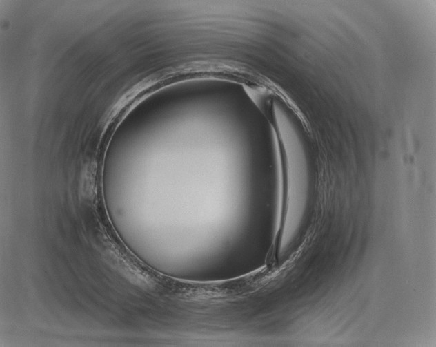 X0000083560786200702231602