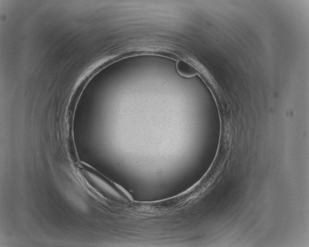 X0000083560787200702231602