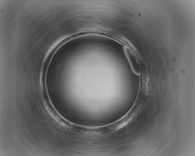 X0000083560788200702231602