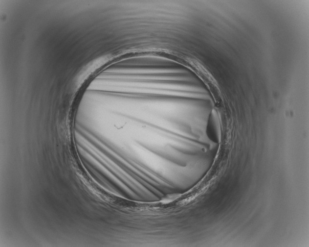 X0000083560789200702231602