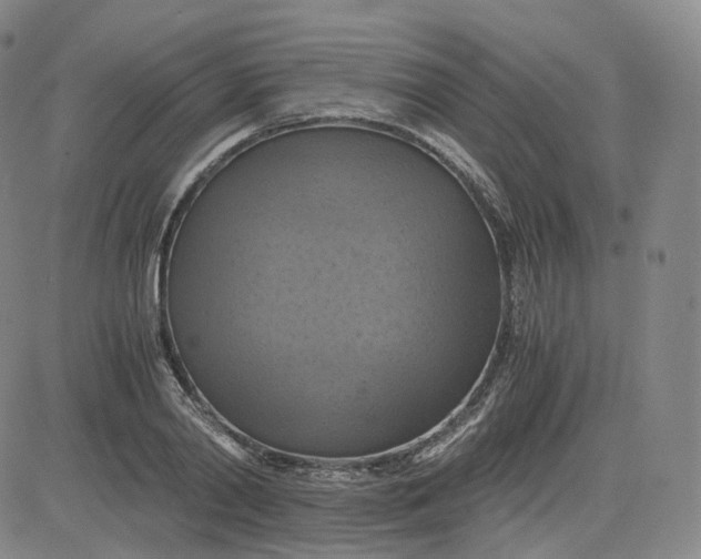 X0000083560790200702231602