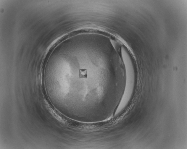 X0000083560791200702231602