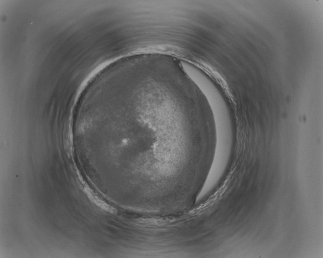 X0000083560792200702231602