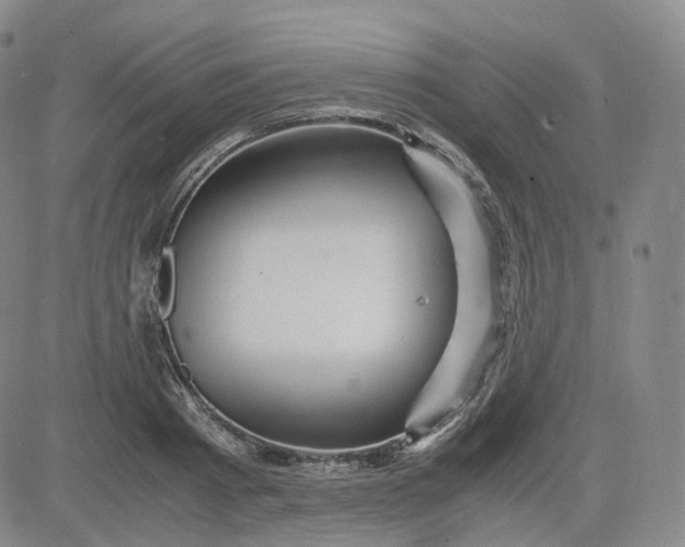 X0000083560793200702231602