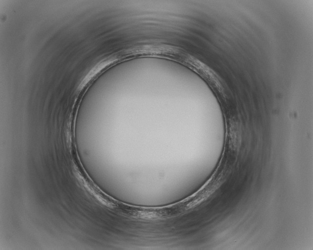 X0000083560794200702231602