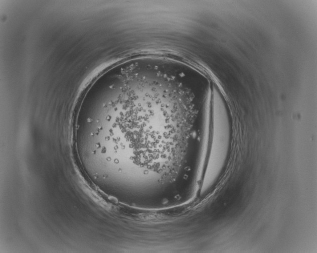 X0000083560795200702231602