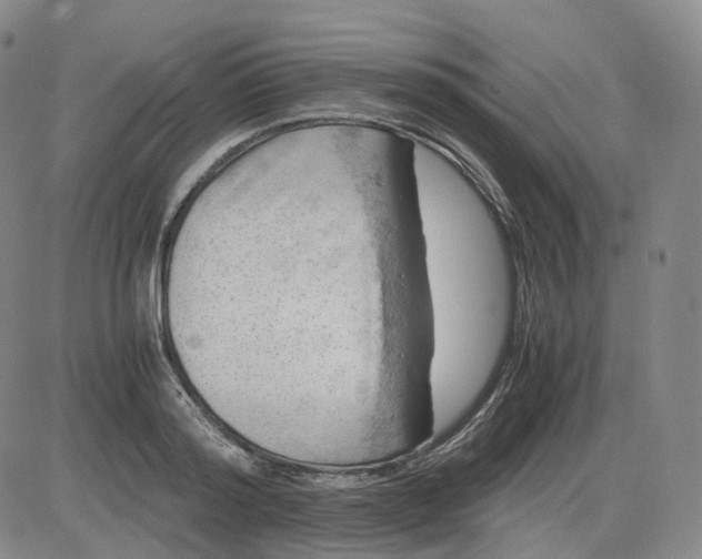 X0000083560796200702231602