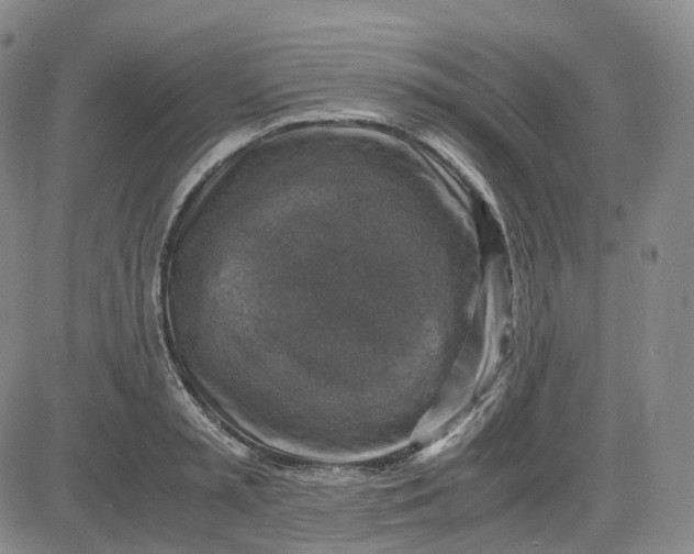 X0000083560797200702231602