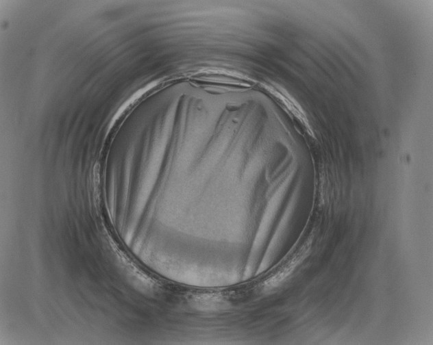 X0000083560798200702231602